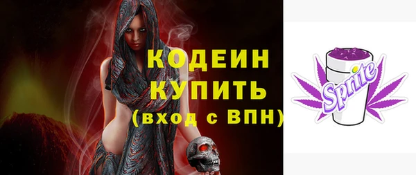 гашик Сатка