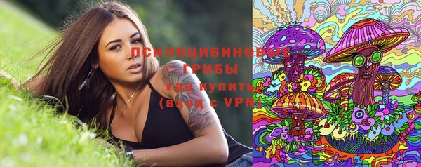 бутират Иннополис