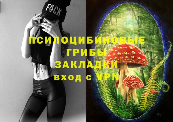 бутират Иннополис