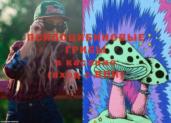 кристаллы Инта