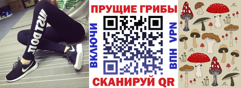 Галлюциногенные грибы прущие грибы Ершов