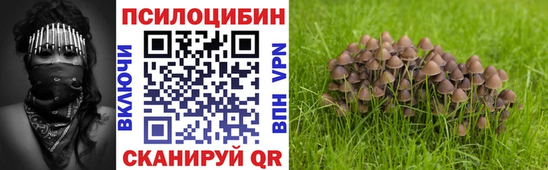 Псилоцибиновые грибы Psilocybine cubensis  Купить  Ершов 